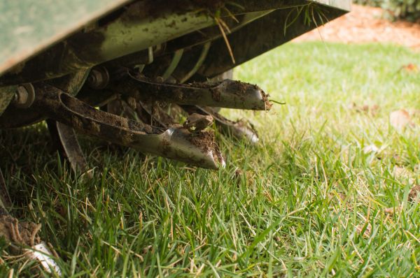 Fall Lawn Renovation