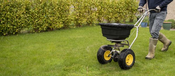 Grass Seed Planting