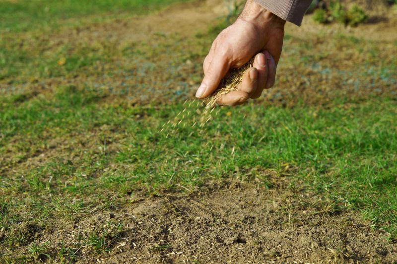 Pasture Reseeding