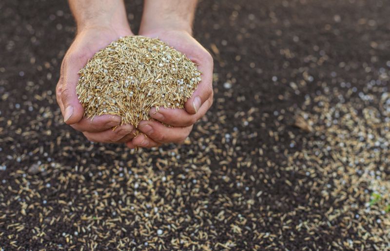 Commercial Grass Seeding