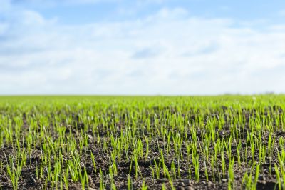 Space-Smart Ideas — On a Budget