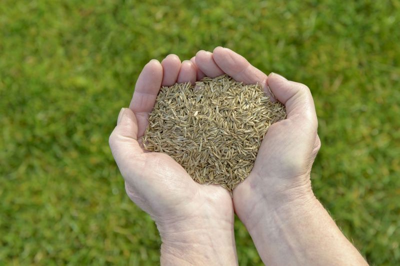 Grazing Land Restoration