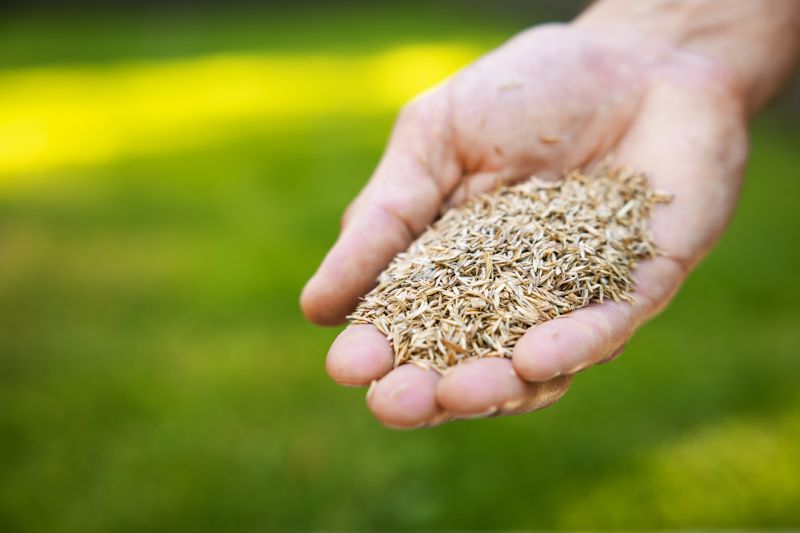 Spring Grass Seeding in Ventura County, CA